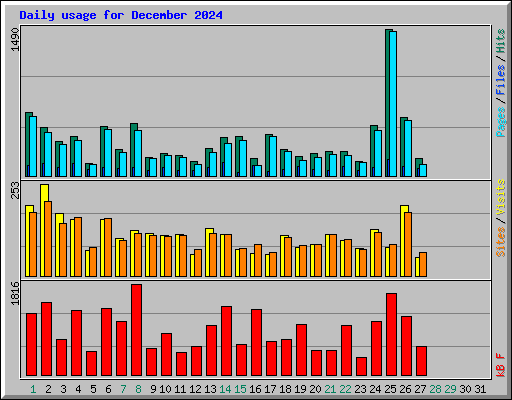 Daily usage for December 2024