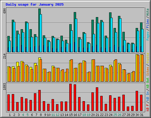 Daily usage for January 2025