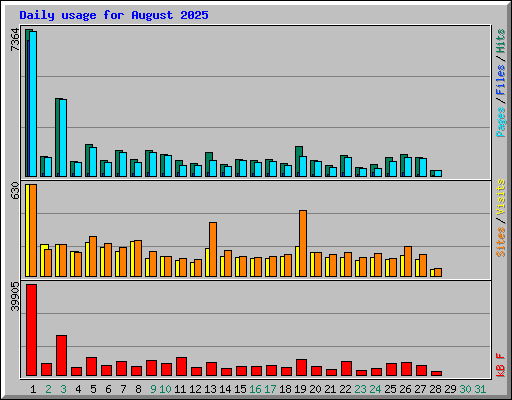 Daily usage for August 2025