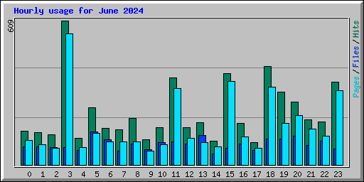 Hourly usage for June 2024