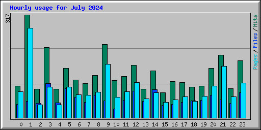 Hourly usage for July 2024