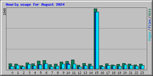 Hourly usage for August 2024