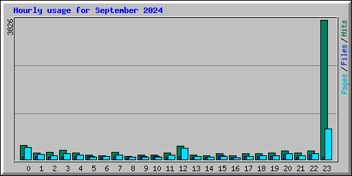 Hourly usage for September 2024