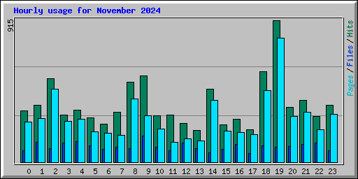 Hourly usage for November 2024