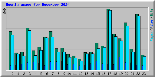 Hourly usage for December 2024