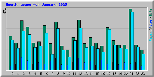 Hourly usage for January 2025