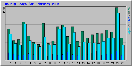 Hourly usage for February 2025