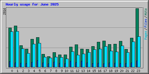 Hourly usage for June 2025
