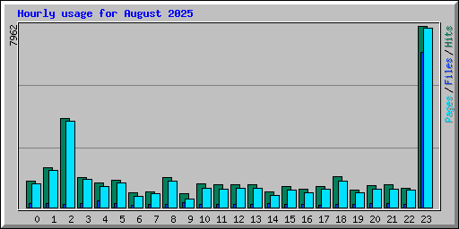 Hourly usage for August 2025