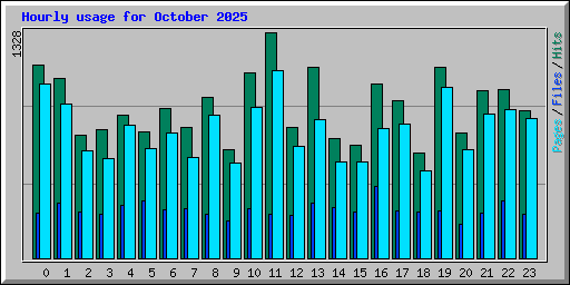 Hourly usage for October 2025
