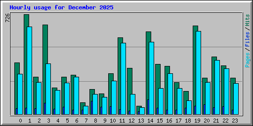 Hourly usage for December 2025
