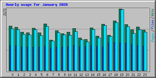 Hourly usage for January 2026