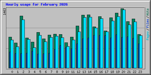 Hourly usage for February 2026