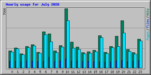 Hourly usage for July 2026
