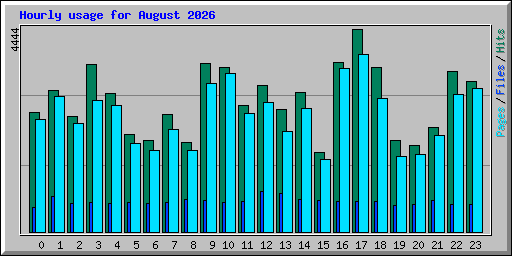 Hourly usage for August 2026
