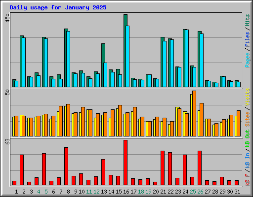 Daily usage for January 2025