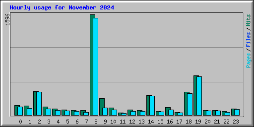 Hourly usage for November 2024