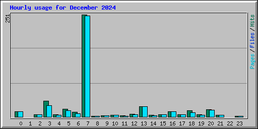 Hourly usage for December 2024