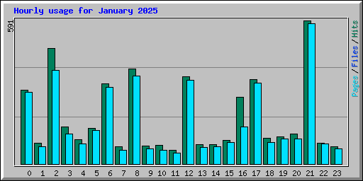 Hourly usage for January 2025