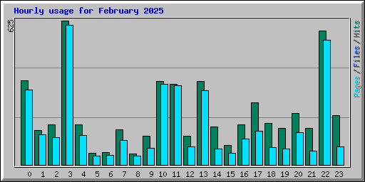 Hourly usage for February 2025