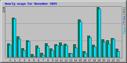Hourly usage for November 2025