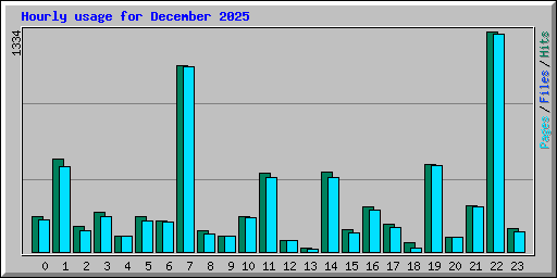 Hourly usage for December 2025