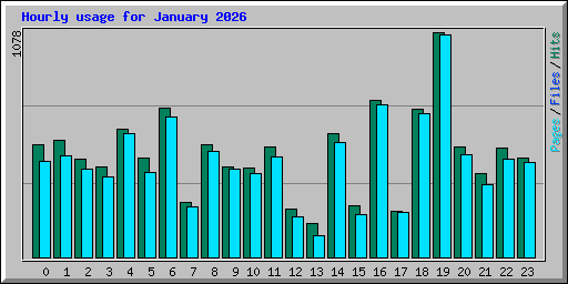 Hourly usage for January 2026