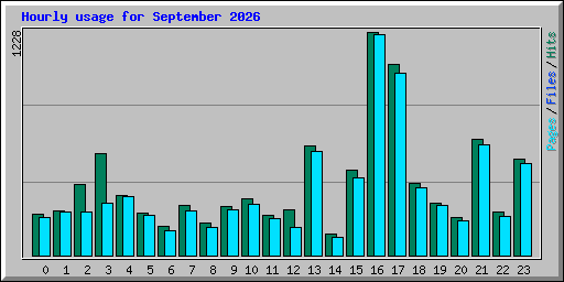 Hourly usage for September 2026